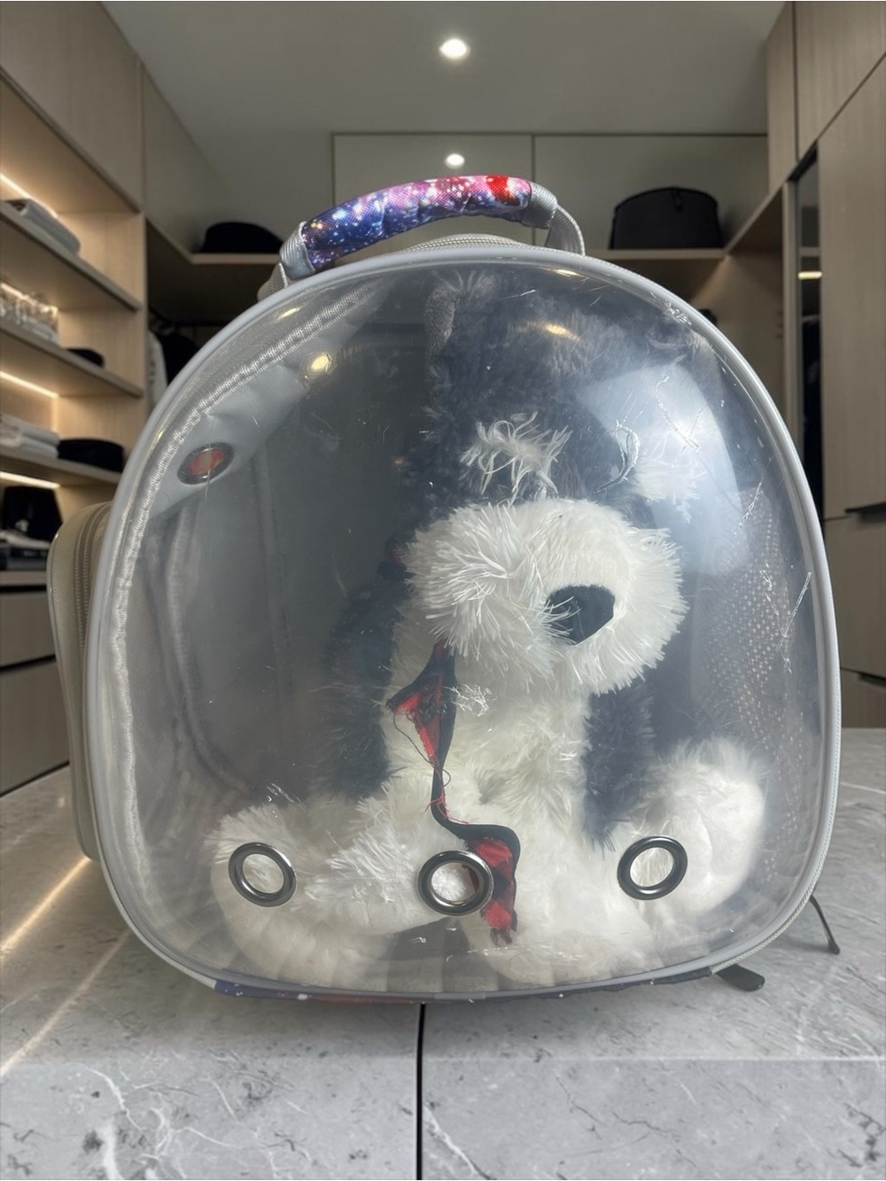 Transparent Gray Small Pet Carrier Backpack with Galaxy-Print Handle